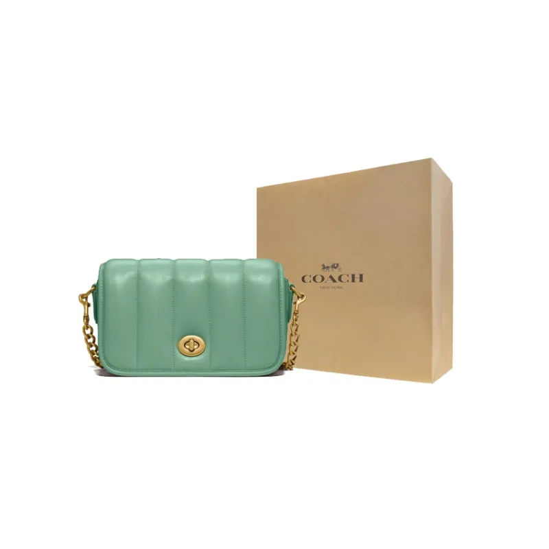 COACH Dinky Lambskin Leather Shoulder Bag, Crossbody Bag Small Size Women's Macaron Green-5