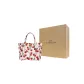 Bag+Dust Bag+Yellow Box
