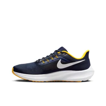 Nike Air Zoom Pegasus 39 'Michigan'