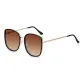 Black Frame with Tea Brown Lens (TY0093-2)