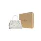 Bag+Dust Bag+Yellow Box