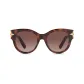 Tortoiseshell