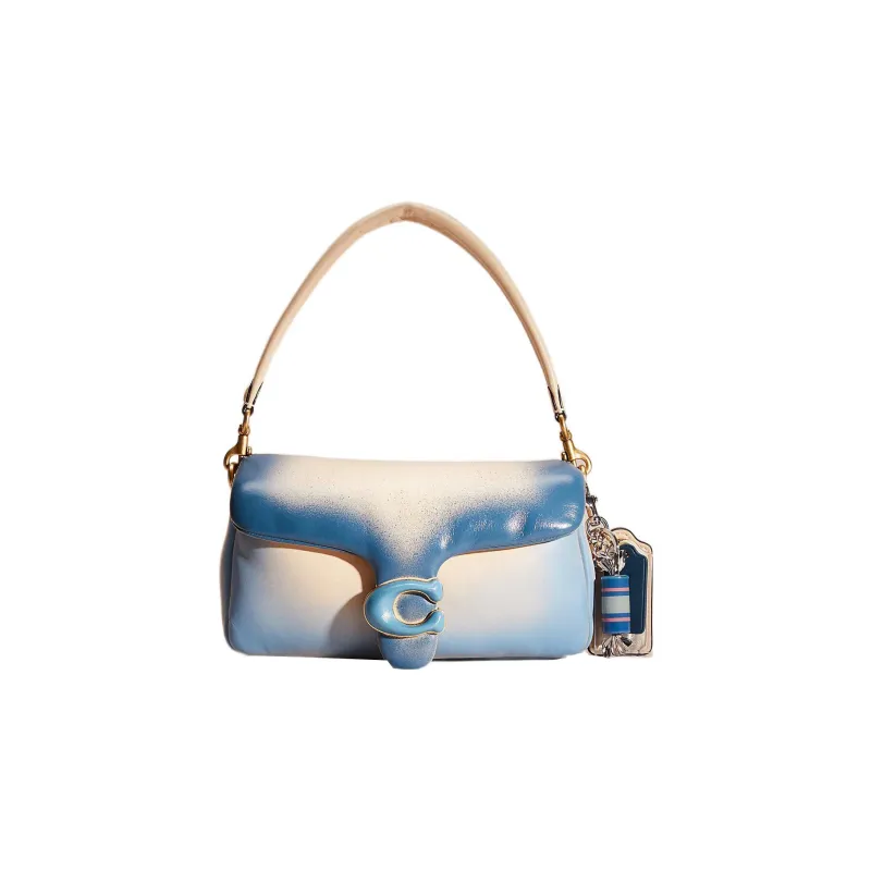 COACH Pillow Leather Cloud Bag Pillow Bag Handbag Shoulder Bag Women's Blue White & Multicolor-0
