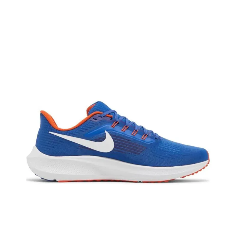 Nike Air Zoom Pegasus 39 'Florida Gators'-1