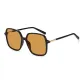 Black Frame with Tea Brown Lens (TY0102-3)