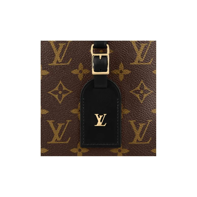 LOUIS VUITTON Coated Canvas Shoulder Bag Crossbody Bag Regular Women's Brown-4