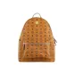 Bag+Dust Bag