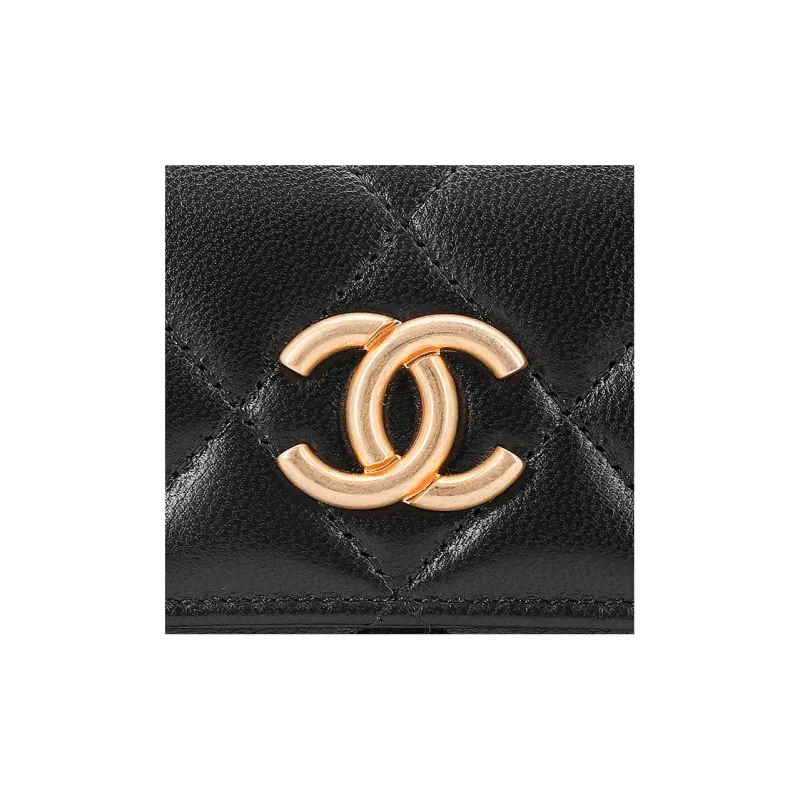 CHANEL With Sheepskin Leg Bag, Headphone Case, Earphone Case Women's Black-3