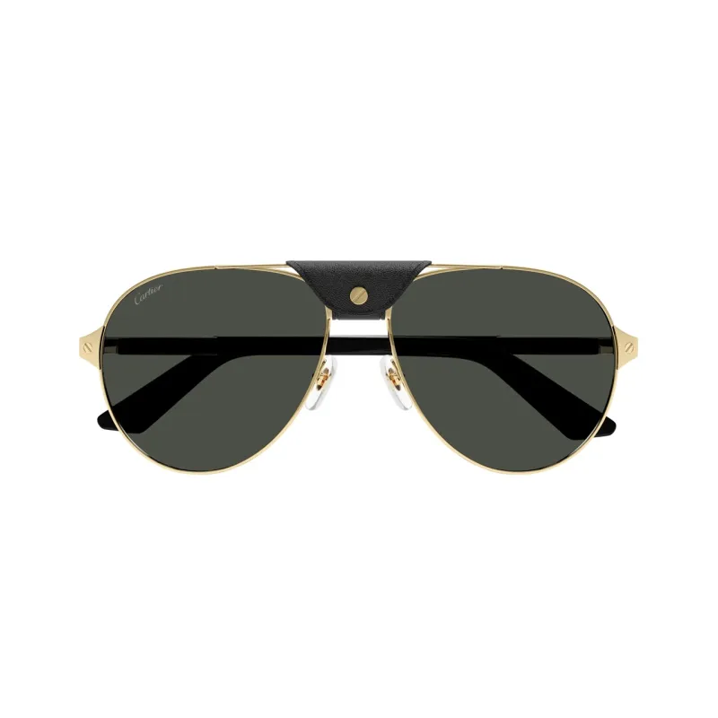 Cartier Santos De Cartier Pilot Sunglasses-1