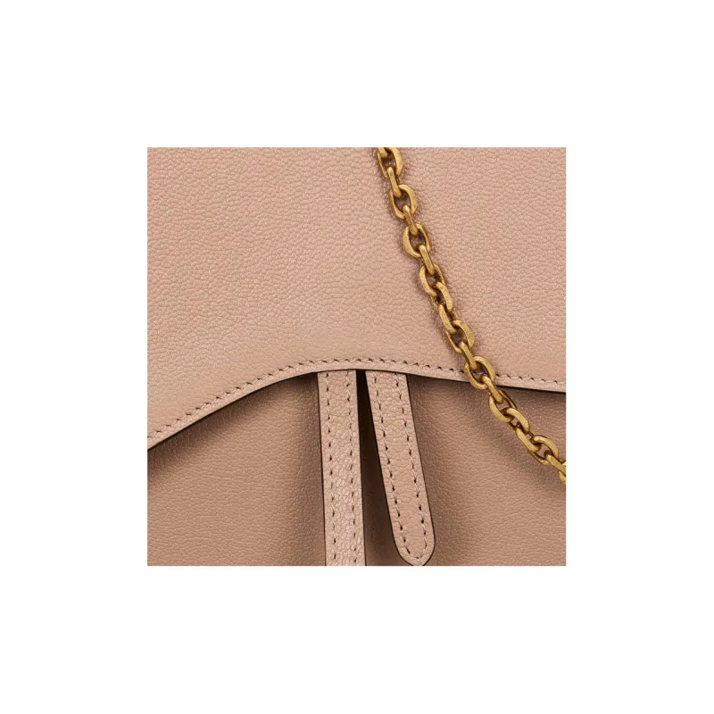 DIOR Saddle Goatskin One Shoulder Crossbody Clutches Women's Pink-5