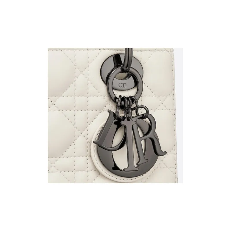 DIOR Lady DIOR Clutches-3