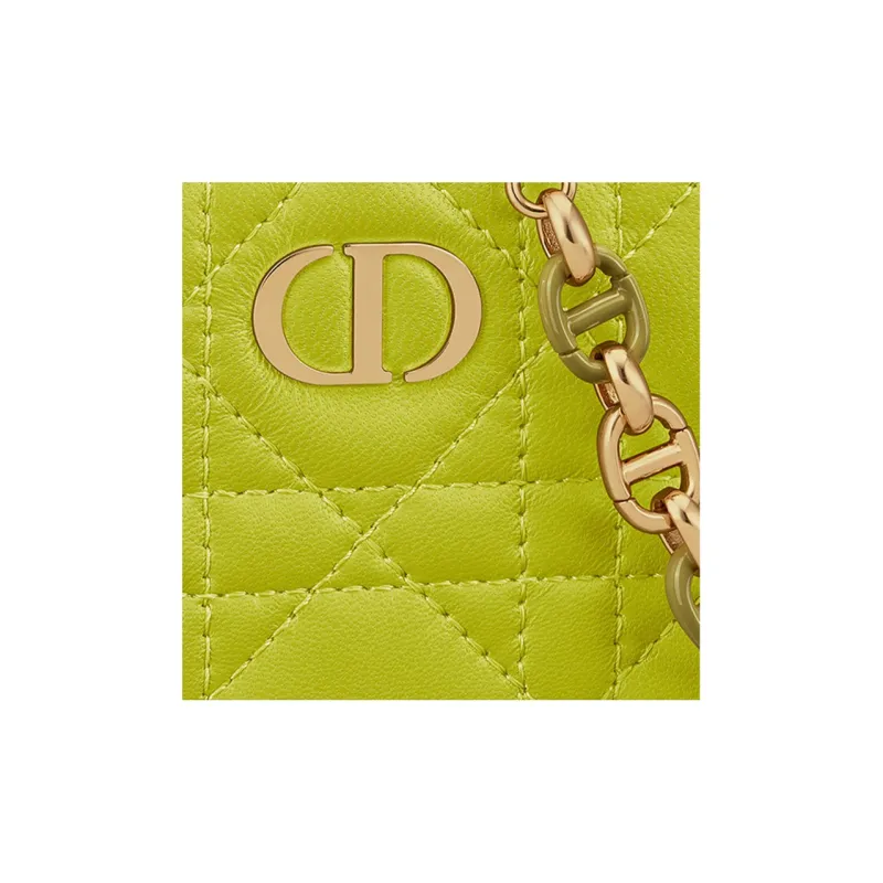 DIOR Clutches-4