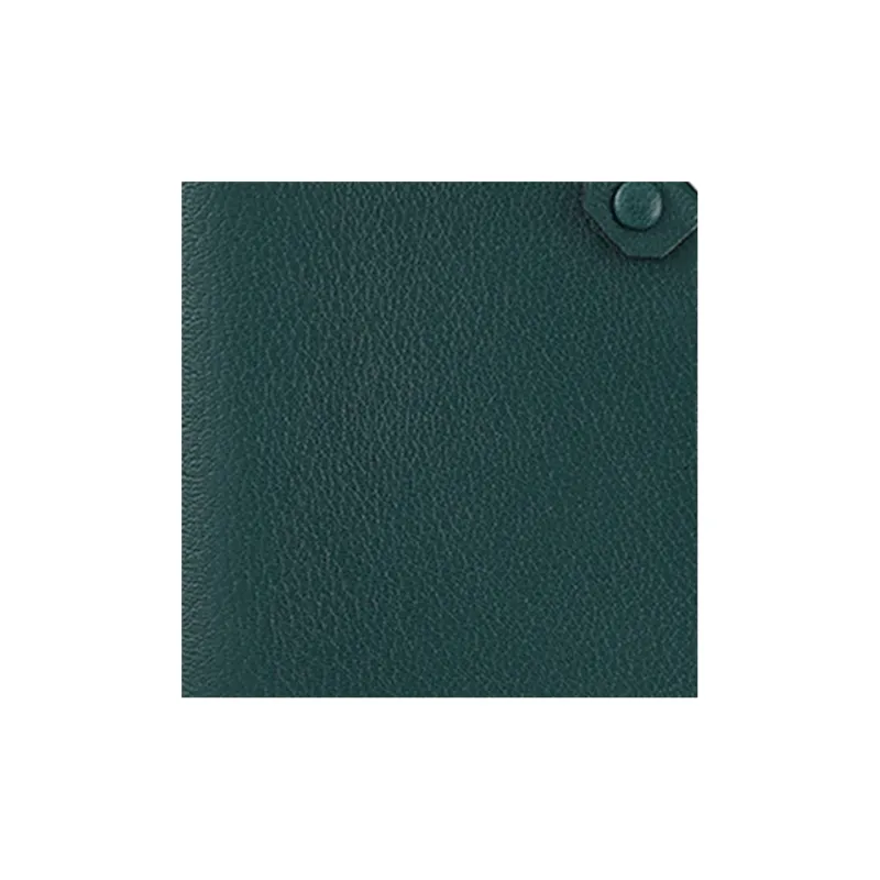 HERMES Tarmac Chamkila Goat Skin Passport Clip Women's 60 Vert Cypress Pine Green/Pine Green-1