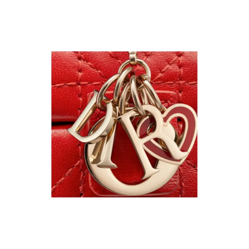 DIOR Earphone Cases-5