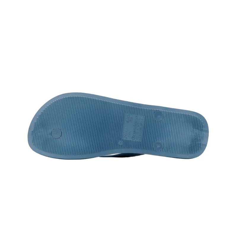 Ipanema Flip Flops Men's Blue Gray-5