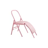 [Pink Double Beam+Waist Detachable]PU Surface/Wall Thickness 1.5mm/Coach Style/25 Leg Diameter