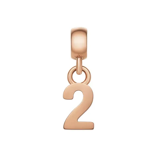 DW/DanielWellington CHARMS Whisper Charms / Pendants Unisex-2