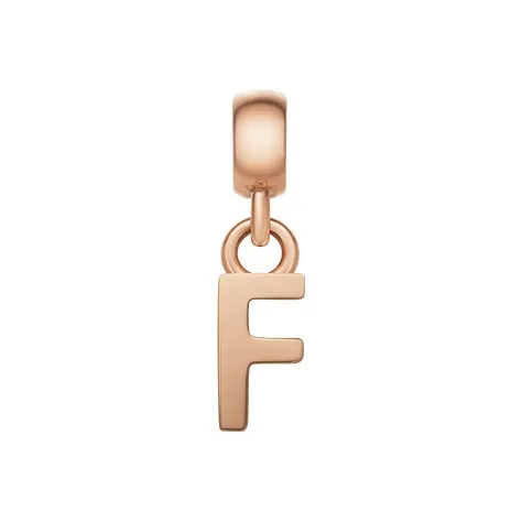 Daniel Wellington CHARMS Whisper Alloy Pendants Unisex-8