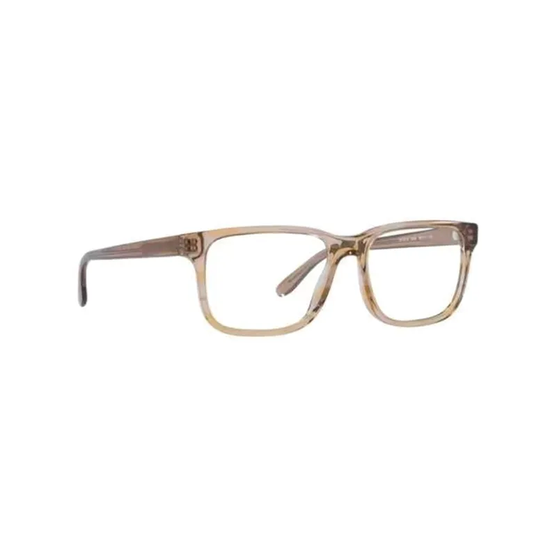 EMPORIO ARMANI Acetate Irregular Shape Eyeglass Frames Men's Brown-1