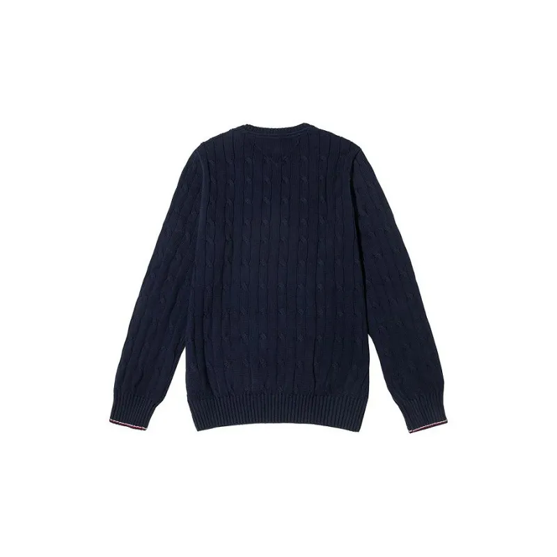 Tommy Hilfiger Sweater Fall Winter Men's Navy Blue-1