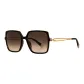 Havana Frame with Brown Lens