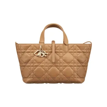 DIOR Cow Leather Native Handbag Medium Size Women's Bronze