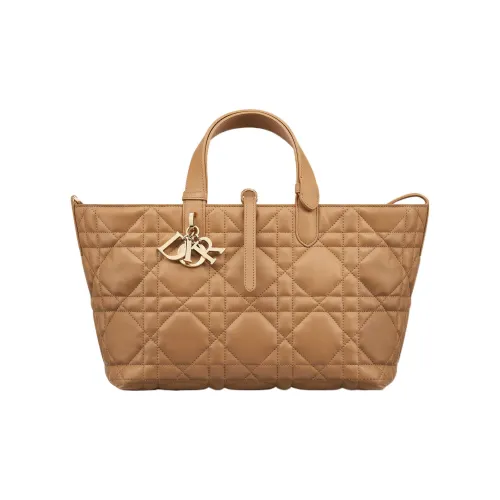 DIOR Cow Leather Native Handbag Medium Size Women's Bronze