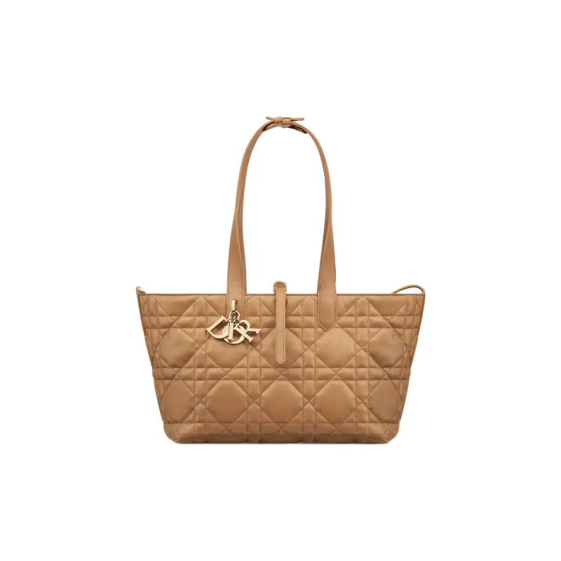 DIOR Cow Leather Native Handbag Medium Size Women's Bronze-2