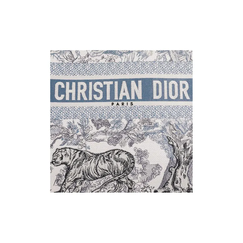 DIOR BookTote Handbags-4
