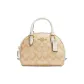 Bag+Dust Bag