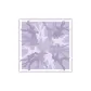 Love Dance Collection-Lilac