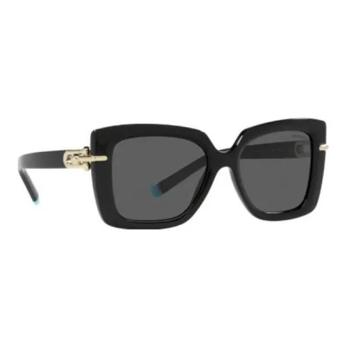 TIFFANY & CO. Sunglasses Women's Black