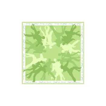 CH＇IN MELODY Silk Scarves Women's