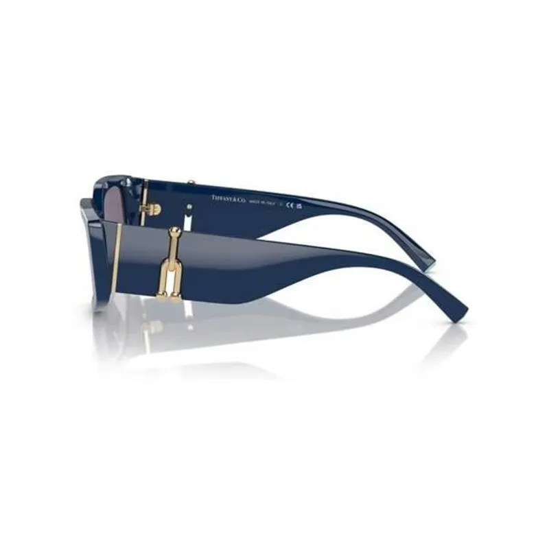 Tiffany & Co Eyewear Tinted lenses Rectangle frame Sunglasses-2