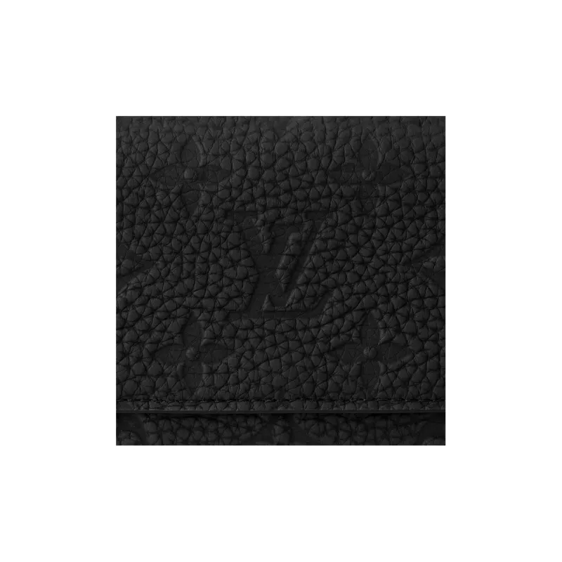 LOUIS VUITTON Slender Pilot-5