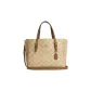 Bag+Dust Bag