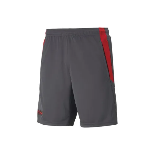PUMA Casual Shorts Men Gray