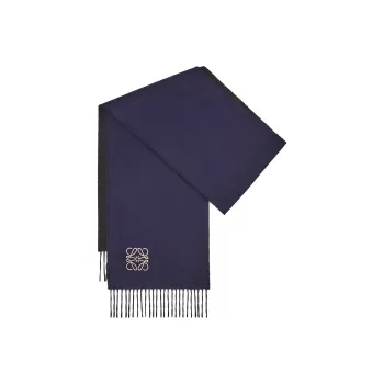 LOEWE Knit Scarves Women's Blue/Black
