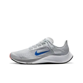 Nike Air Zoom Pegasus 37 FlyEase Pure Platinum