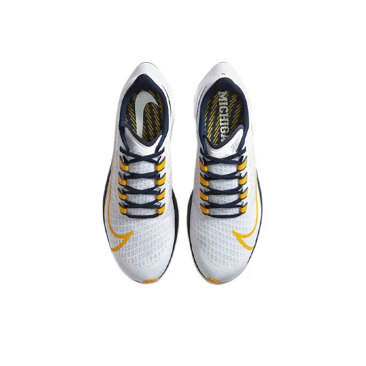 Nike Air Zoom Pegasus 37 Michigan-3