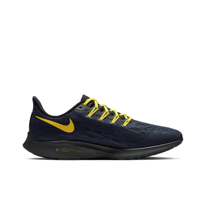 Nike Air Zoom Pegasus 36 Michigan-1