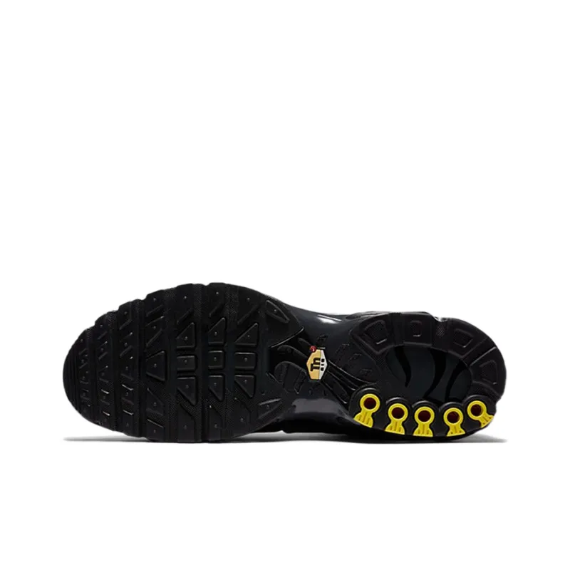 Nike Air Max Plus 'Black Dark Smoke Grey'-5