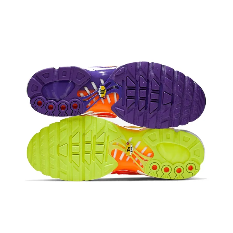 Nike Air Max Plus Color Flip Pack Grape-5