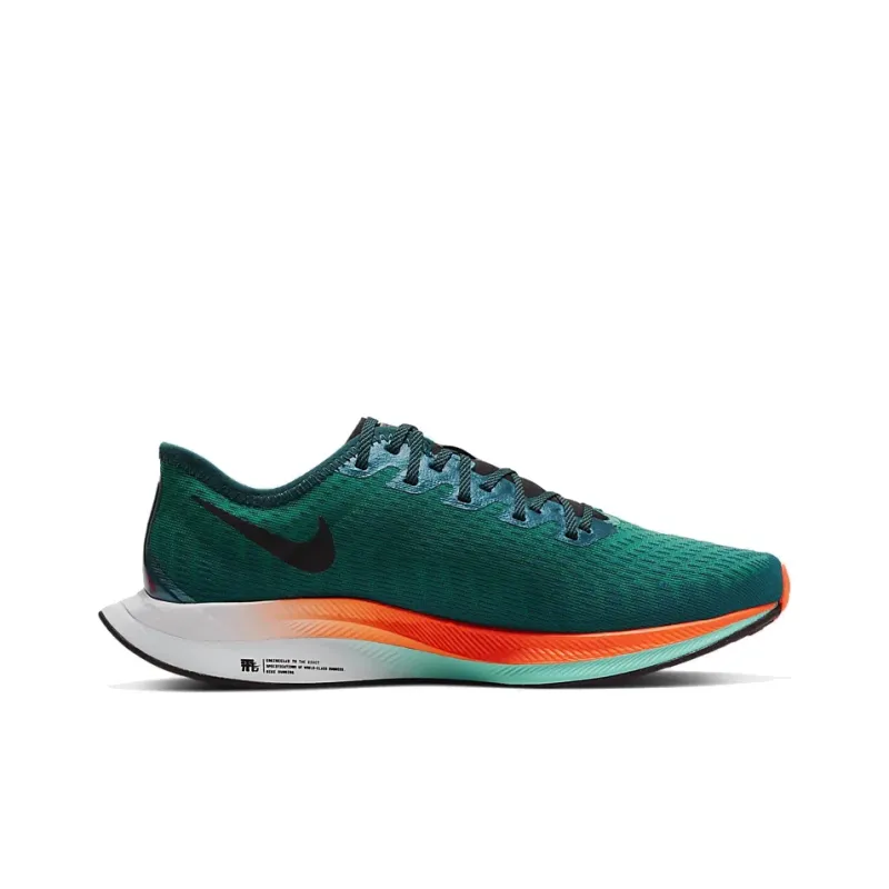 Nike Zoom Pegasus Turbo 2 Neptune Green Midnight Turquoise Women's-1