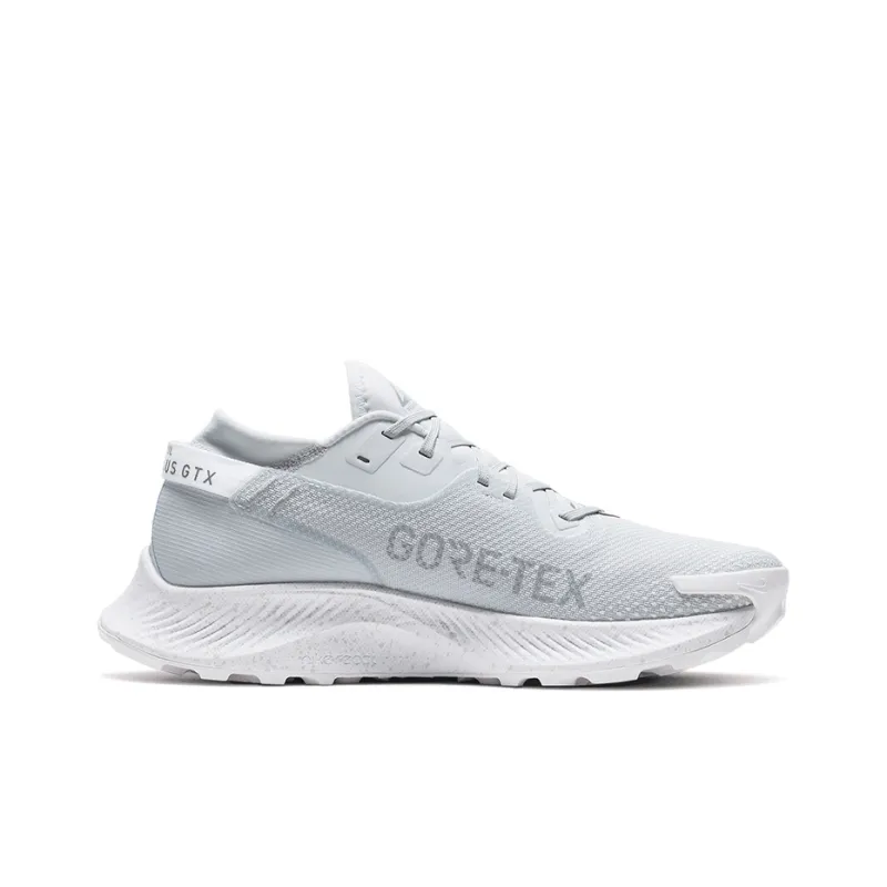 Nike Pegasus Trail 2 Gore Tex Pure Platinum-1