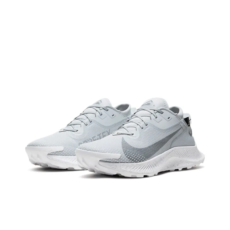 Nike Pegasus Trail 2 Gore Tex Pure Platinum-2