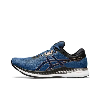 Asics Evoride Grand Shark