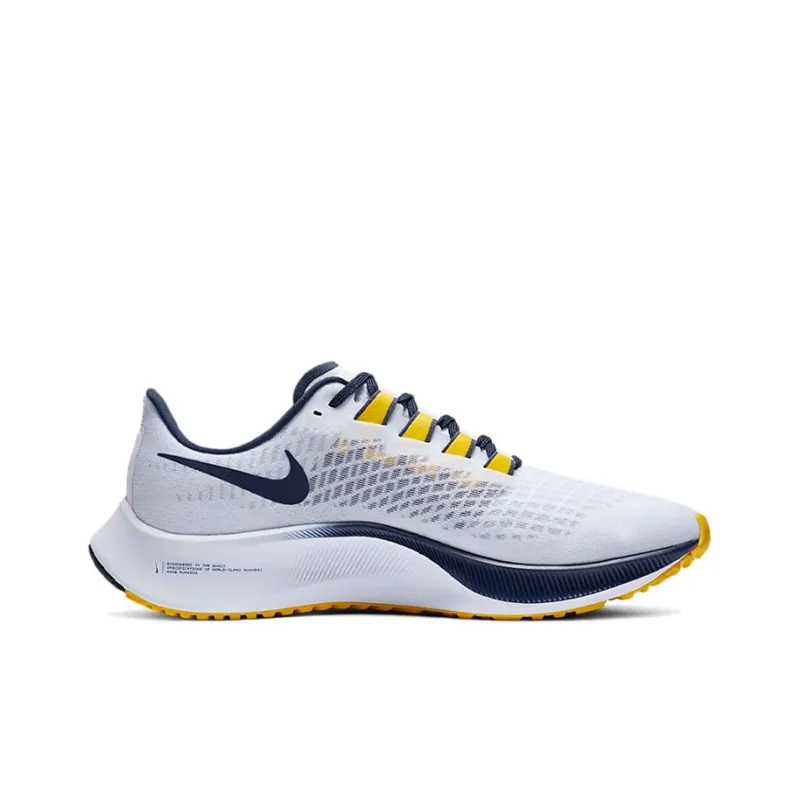 Nike Air Zoom Pegasus 37 Michigan-1