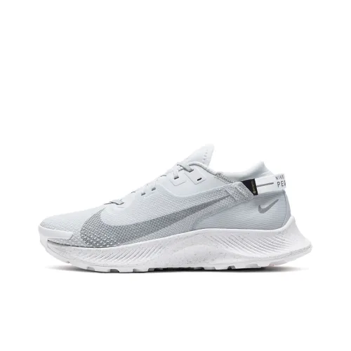 Nike Pegasus Trail 2 Gore-Tex Pure Platinum