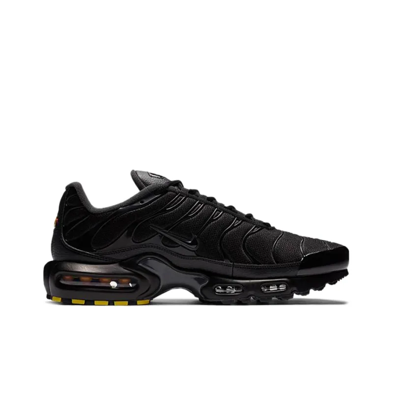 Nike Air Max Plus 'Black Dark Smoke Grey'-1